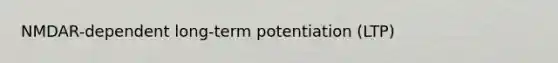 NMDAR-dependent long-term potentiation (LTP)