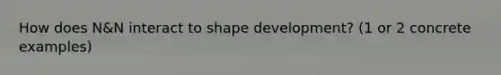 How does N&N interact to shape development? (1 or 2 concrete examples)