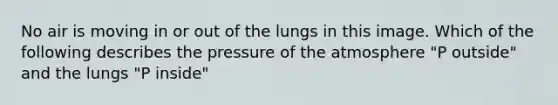 No air is moving in or out of the lungs in this image. Which of the following describes the pressure of the atmosphere "P outside" and the lungs "P inside"