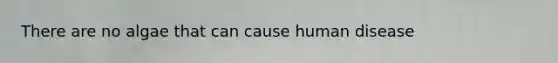 There are no algae that can cause human disease
