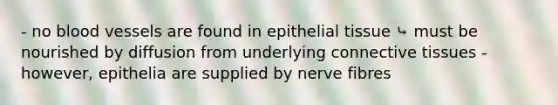 - no blood vessels are found in epithelial tissue ⤷ must be nourished by diffusion from underlying connective tissues - however, epithelia are supplied by nerve fibres