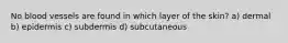 No blood vessels are found in which layer of the skin? a) dermal b) epidermis c) subdermis d) subcutaneous