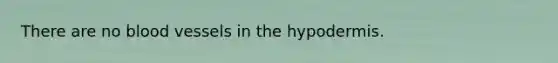 There are no blood vessels in the hypodermis.