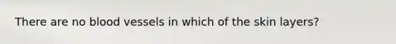 There are no blood vessels in which of the skin layers?