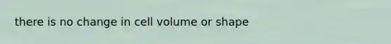 there is no change in cell volume or shape