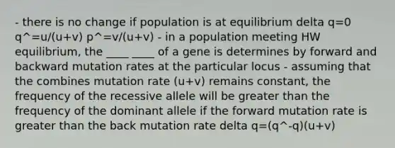 - there is no change if population is at equilibrium delta q=0 q^=u/(u+v) p^=v/(u+v) - in a population meeting HW equilibrium, the ____ ____ of a gene is determines by forward and backward mutation rates at the particular locus - assuming that the combines mutation rate (u+v) remains constant, the frequency of the recessive allele will be greater than the frequency of the dominant allele if the forward mutation rate is greater than the back mutation rate delta q=(q^-q)(u+v)