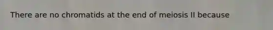 There are no chromatids at the end of meiosis II because