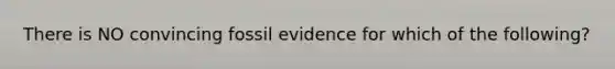 There is NO convincing fossil evidence for which of the following?