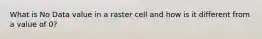 What is No Data value in a raster cell and how is it different from a value of 0?