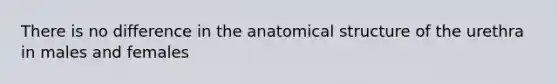 There is no difference in the anatomical structure of the urethra in males and females