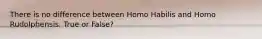 There is no difference between Homo Habilis and Homo Rudolphensis. True or False?