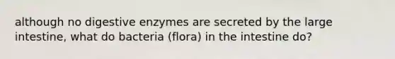 although no digestive enzymes are secreted by the large intestine, what do bacteria (flora) in the intestine do?