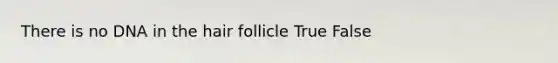 There is no DNA in the hair follicle True False