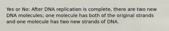 Yes or No: After DNA replication is complete, there are two new DNA molecules; one molecule has both of the original strands and one molecule has two new strands of DNA.