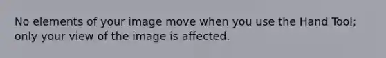 No elements of your image move when you use the Hand Tool; only your view of the image is affected.