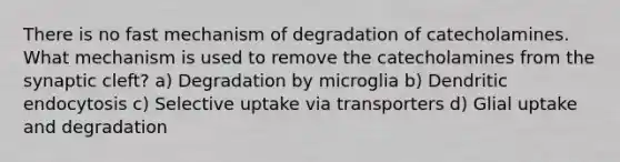 There is no fast mechanism of degradation of catecholamines. What mechanism is used to remove the catecholamines from the synaptic cleft? a) Degradation by microglia b) Dendritic endocytosis c) Selective uptake via transporters d) Glial uptake and degradation