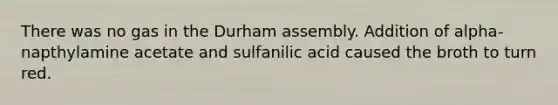 There was no gas in the Durham assembly. Addition of alpha-napthylamine acetate and sulfanilic acid caused the broth to turn red.