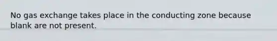 No gas exchange takes place in the conducting zone because blank are not present.