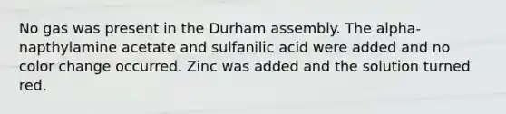 No gas was present in the Durham assembly. The alpha-napthylamine acetate and sulfanilic acid were added and no color change occurred. Zinc was added and the solution turned red.