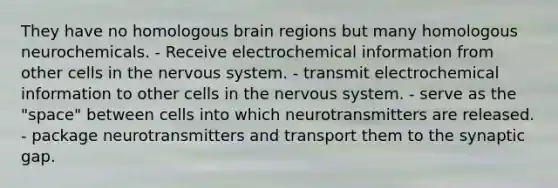 They have no homologous brain regions but many homologous neurochemicals. - Receive electrochemical information from other cells in the nervous system. - transmit electrochemical information to other cells in the nervous system. - serve as the "space" between cells into which neurotransmitters are released. - package neurotransmitters and transport them to the synaptic gap.