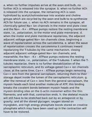 a. when no further impulses arrive at the axon end bulb, no further ACh is released into the synapse. b. when no further ACh is released into the synapse, the remaining ACh is soon hydrolized by acetylcholinesterase into acetate and choline groups which are recycled by the axon end bulb to re-synthesize ACh for future use. c. when no ACh remains in the synapse, all chemically-gated Na+ ion channels in the motor end plate close and the Na+ - K+ - ATPase pumps restore the resting membrane state, i.e., polarization, to the motor end plate membrane. d. when the motor end plate membrane repolarizes, the adjacent adjacent voltage-gated Na+ ion channels close, beginning a wave of repolarization across the sarcolemma. e. when the wave of repolarization crosses the sarcolemma it continues inward repolarizing the T-tubules by the same mechanism, closing adjacent adjacent voltage-gated Na+ ion channels; and, meanwhile, the Na+ - K+ - ATPase pumps restores the resting membrane state, i.e., polarization, of the T-tubules. f. when the T-tubules repolarize, there is no further destabilization of the sarcoplasmic reticulum, and its voltage-gated Ca++ ion channels close; at the same time, Ca++ - ATPase pumps begin removing Ca++ ions from the general sarcoplasm, returning them to their storage depot inside the lumen of the sarcoplasmic reticulum. g. after the removal of Ca++ ions from the general sarcoplasm, the myosin heads each bind another molecule of ATP; this binding breaks the covalent bonds between myosin heads and the myosin-binding sites on the G-actin monomer within the thin filaments; and with that, contraction ends. h. the skeletal muscle will still have to be stretched back out by an antagonist or by gravity, and all the stored glycogen, oxygen stored on myoglobin, and high energy phosphate bonds stored on creatine phosphate which may have been used up in the contraction will have to be restored.