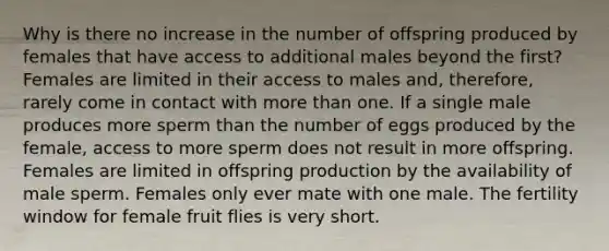 Why is there no increase in the number of offspring produced by females that have access to additional males beyond the first? Females are limited in their access to males and, therefore, rarely come in contact with more than one. If a single male produces more sperm than the number of eggs produced by the female, access to more sperm does not result in more offspring. Females are limited in offspring production by the availability of male sperm. Females only ever mate with one male. The fertility window for female fruit flies is very short.