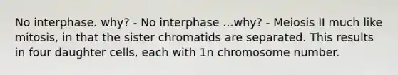 No interphase. why? - No interphase ...why? - Meiosis II much like mitosis, in that the sister chromatids are separated. This results in four daughter cells, each with 1n chromosome number.