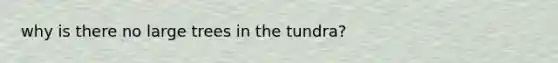 why is there no large trees in the tundra?