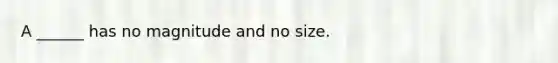 A ______ has no magnitude and no size.