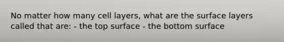 No matter how many cell layers, what are the surface layers called that are: - the top surface - the bottom surface