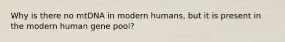 Why is there no mtDNA in modern humans, but it is present in the modern human gene pool?