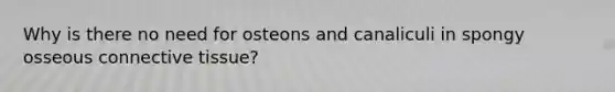 Why is there no need for osteons and canaliculi in spongy osseous connective tissue?