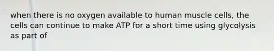 when there is no oxygen available to human muscle cells, the cells can continue to make ATP for a short time using glycolysis as part of