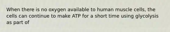 When there is no oxygen available to human muscle cells, the cells can continue to make ATP for a short time using glycolysis as part of