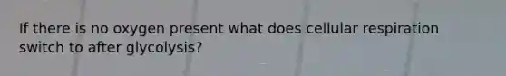 If there is no oxygen present what does cellular respiration switch to after glycolysis?