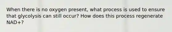 When there is no oxygen present, what process is used to ensure that glycolysis can still occur? How does this process regenerate NAD+?