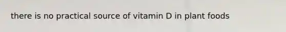 there is no practical source of vitamin D in plant foods