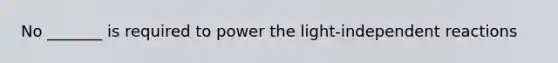 No _______ is required to power the light-independent reactions