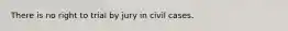 There is no right to trial by jury in civil cases.