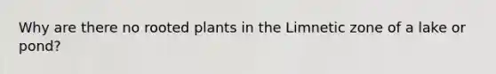 Why are there no rooted plants in the Limnetic zone of a lake or pond?