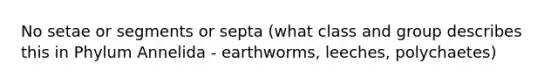 No setae or segments or septa (what class and group describes this in Phylum Annelida - earthworms, leeches, polychaetes)