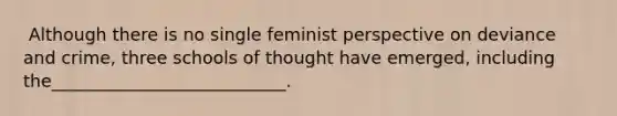 ​ Although there is no single feminist perspective on deviance and crime, three schools of thought have emerged, including the___________________________.