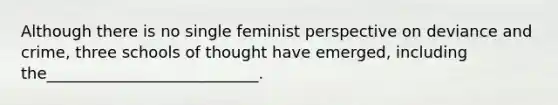 ​Although there is no single feminist perspective on deviance and crime, three schools of thought have emerged, including the___________________________.