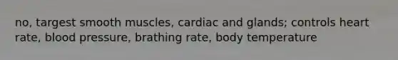 no, targest smooth muscles, cardiac and glands; controls heart rate, blood pressure, brathing rate, body temperature