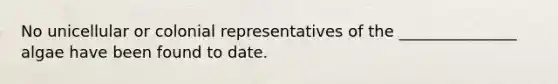 No unicellular or colonial representatives of the _______________ algae have been found to date.