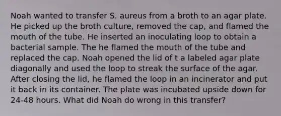 Noah wanted to transfer S. aureus from a broth to an agar plate. He picked up the broth culture, removed the cap, and flamed <a href='https://www.questionai.com/knowledge/krBoWYDU6j-the-mouth' class='anchor-knowledge'>the mouth</a> of the tube. He inserted an inoculating loop to obtain a bacterial sample. The he flamed the mouth of the tube and replaced the cap. Noah opened the lid of t a labeled agar plate diagonally and used the loop to streak the surface of the agar. After closing the lid, he flamed the loop in an incinerator and put it back in its container. The plate was incubated upside down for 24-48 hours. What did Noah do wrong in this transfer?