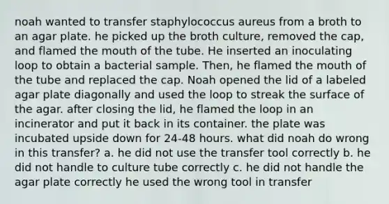 noah wanted to transfer staphylococcus aureus from a broth to an agar plate. he picked up the broth culture, removed the cap, and flamed the mouth of the tube. He inserted an inoculating loop to obtain a bacterial sample. Then, he flamed the mouth of the tube and replaced the cap. Noah opened the lid of a labeled agar plate diagonally and used the loop to streak the surface of the agar. after closing the lid, he flamed the loop in an incinerator and put it back in its container. the plate was incubated upside down for 24-48 hours. what did noah do wrong in this transfer? a. he did not use the transfer tool correctly b. he did not handle to culture tube correctly c. he did not handle the agar plate correctly he used the wrong tool in transfer