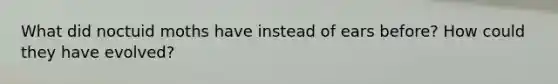 What did noctuid moths have instead of ears before? How could they have evolved?