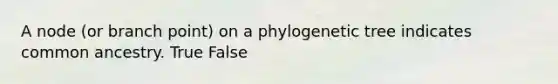 A node (or branch point) on a phylogenetic tree indicates common ancestry. True False