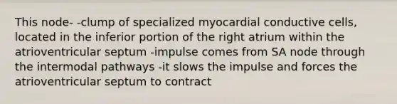 This node- -clump of specialized myocardial conductive cells, located in the inferior portion of the right atrium within the atrioventricular septum -impulse comes from SA node through the intermodal pathways -it slows the impulse and forces the atrioventricular septum to contract